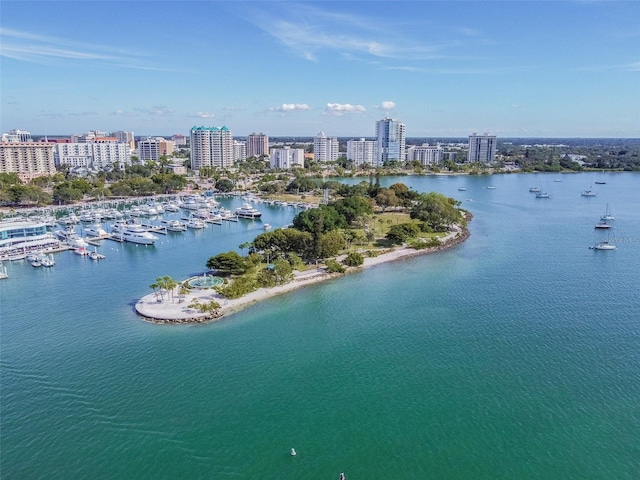 drone / aerial view with a water view