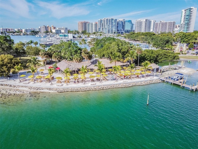 aerial view with a water view and a view of the beach