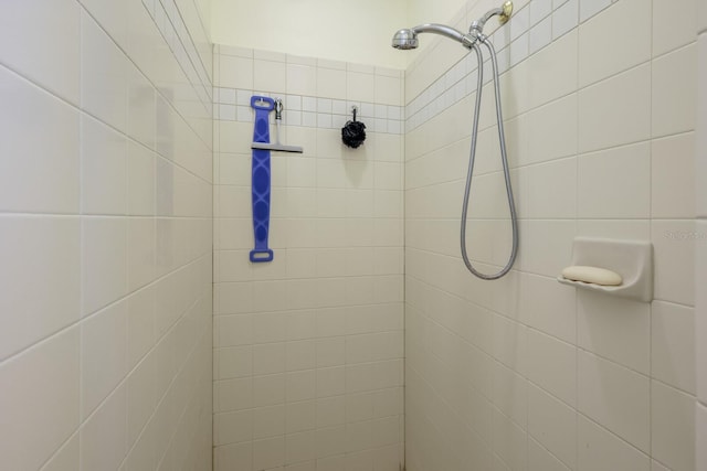 room details featuring tiled shower