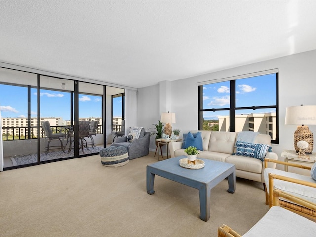 living room featuring carpet flooring and a textured ceiling