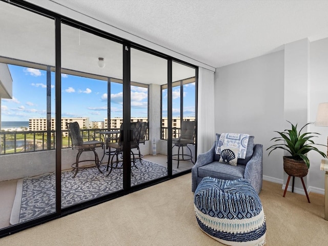 sitting room with light carpet and a textured ceiling