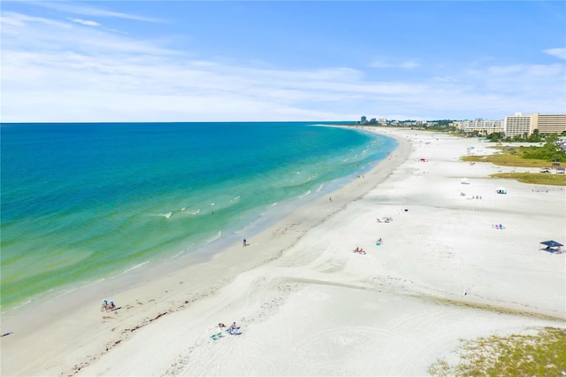 water view featuring a beach view