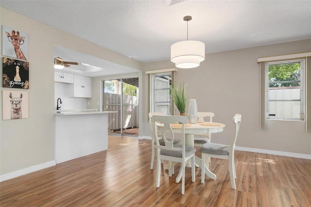 dining room featuring plenty of natural light, a textured ceiling, ceiling fan, and light hardwood / wood-style flooring