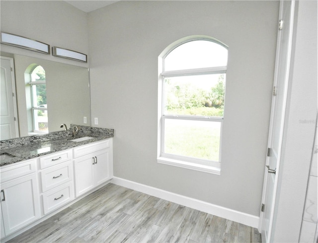 bathroom with vanity, wood-type flooring, and a wealth of natural light