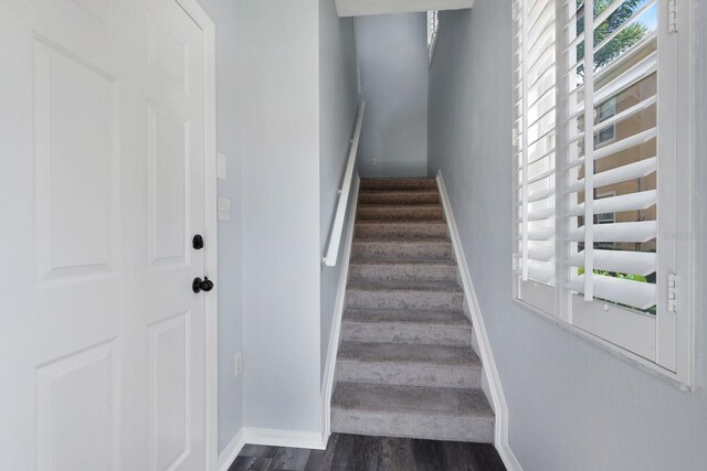 stairway featuring wood-type flooring