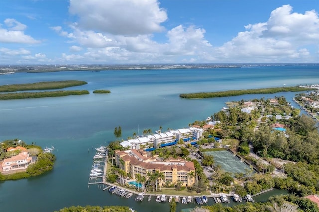 bird's eye view with a water view