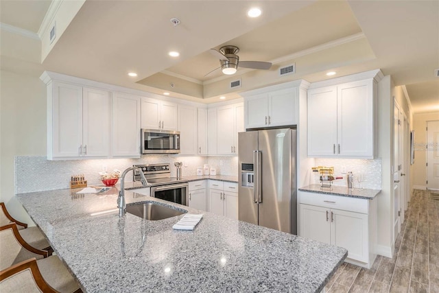 kitchen with sink, stainless steel appliances, a raised ceiling, kitchen peninsula, and white cabinets