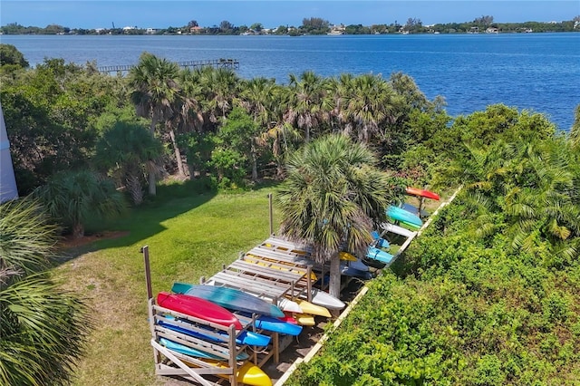 drone / aerial view with a water view