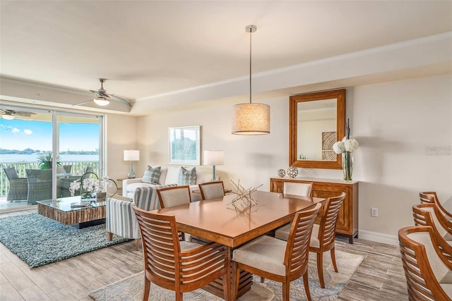 dining area featuring ceiling fan