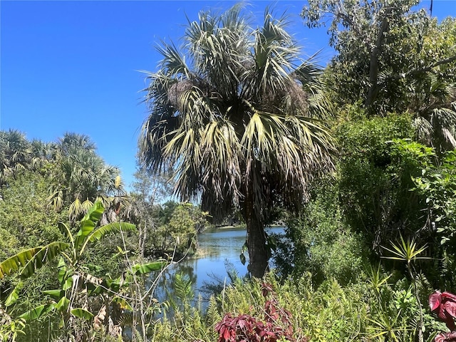 view of local wilderness with a water view