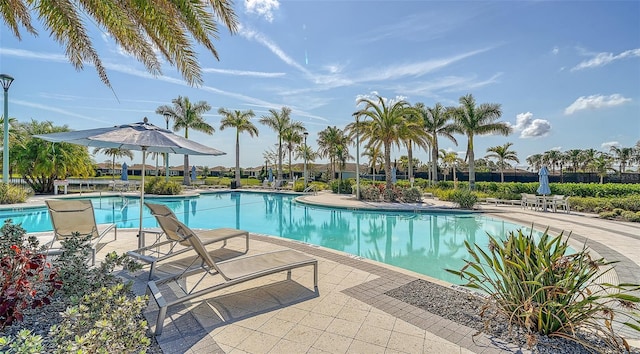 view of pool featuring a patio