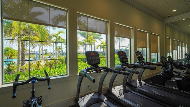 exercise room with plenty of natural light and lofted ceiling