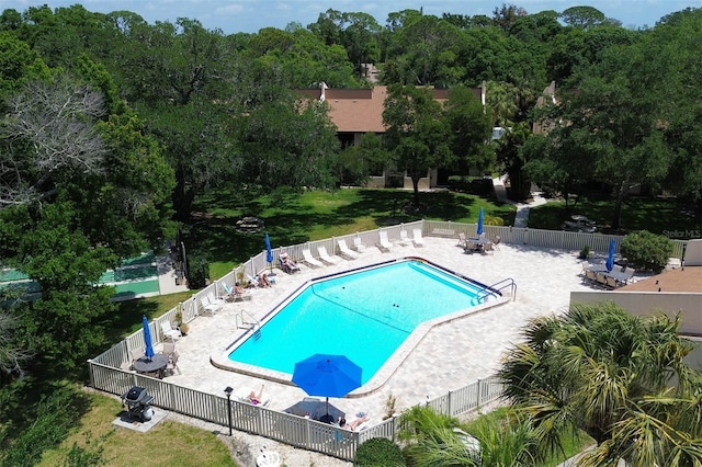 view of pool featuring a patio area