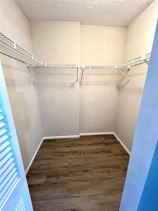 walk in closet featuring dark hardwood / wood-style flooring