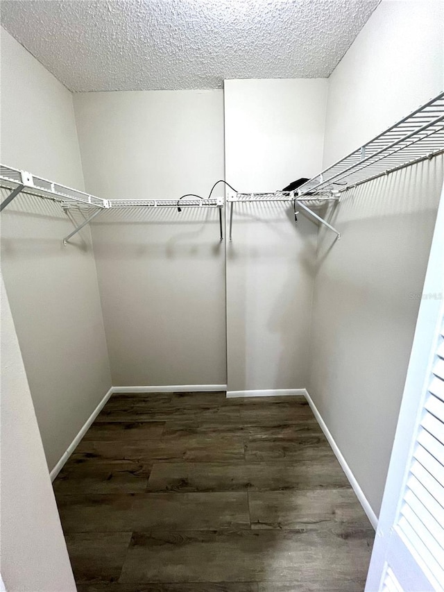 spacious closet with dark wood-type flooring