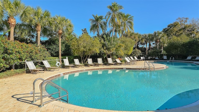 view of swimming pool