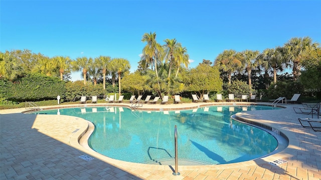 view of swimming pool with a patio