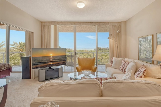 living room with a healthy amount of sunlight, light carpet, and a textured ceiling