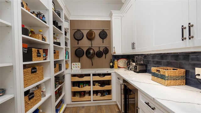 pantry featuring beverage cooler