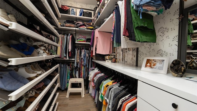 spacious closet with hardwood / wood-style flooring