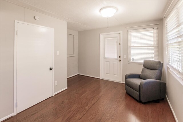 living area featuring dark wood-type flooring