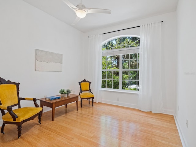 living area with ceiling fan, light hardwood / wood-style floors, and a healthy amount of sunlight