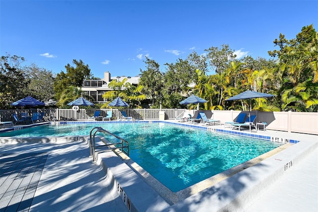 view of swimming pool with a patio