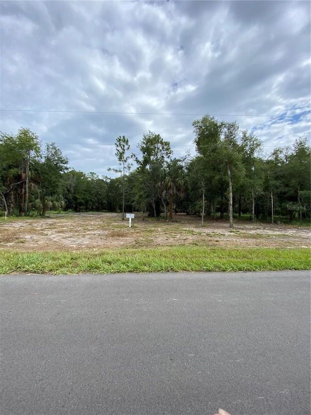 13669 W Foss Groves Path, Inglis FL, 34449 land for sale