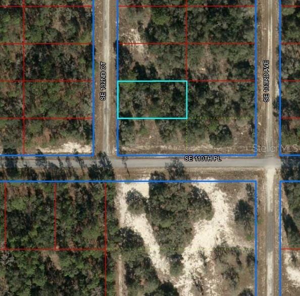 Address Not Disclosed, Dunnellon FL, 34431 land for sale