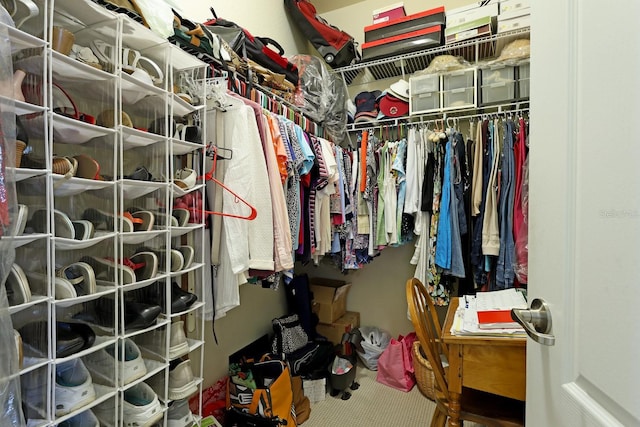 spacious closet featuring carpet