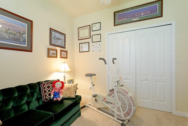 exercise room featuring light carpet