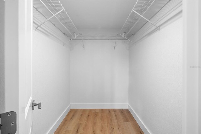 spacious closet featuring light hardwood / wood-style floors