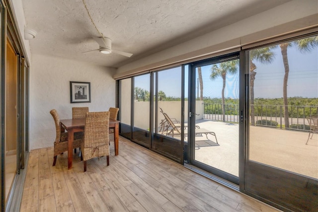 dining space with plenty of natural light, ceiling fan, and light hardwood / wood-style floors