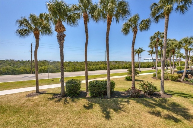 view of property's community featuring a lawn