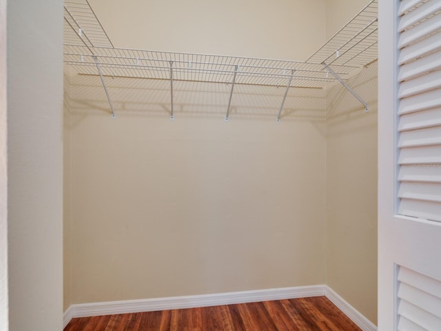 walk in closet with dark hardwood / wood-style floors