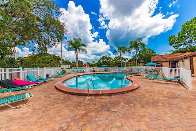 view of pool featuring a patio