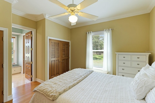 bedroom with light wood finished floors, ceiling fan, a closet, and crown molding