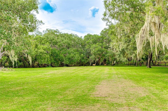 view of yard with a forest view