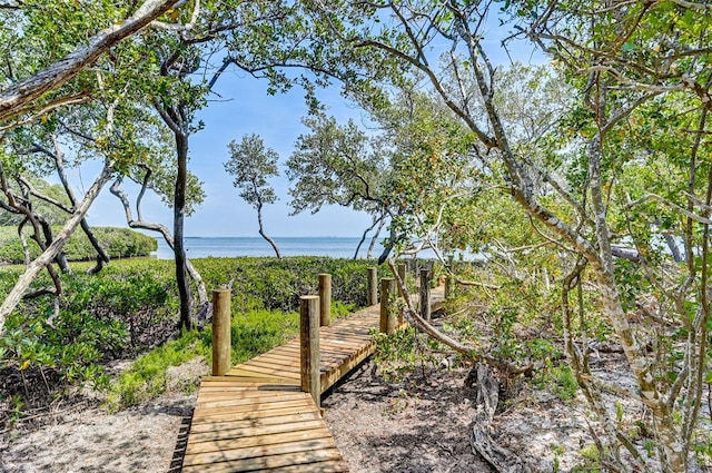 surrounding community featuring a water view and a dock