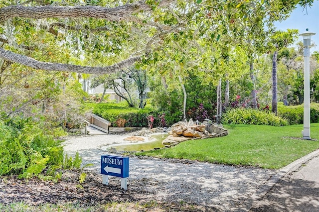 view of community with a lawn