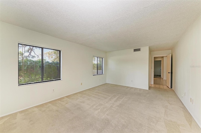 spare room with light colored carpet, a textured ceiling, and a healthy amount of sunlight