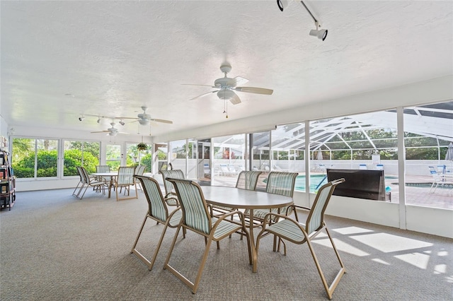 sunroom / solarium with ceiling fan and rail lighting