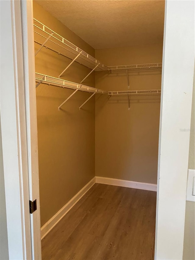 spacious closet featuring hardwood / wood-style flooring