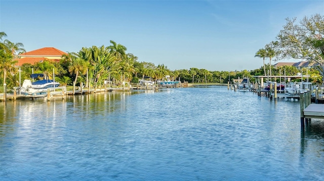 water view with a dock