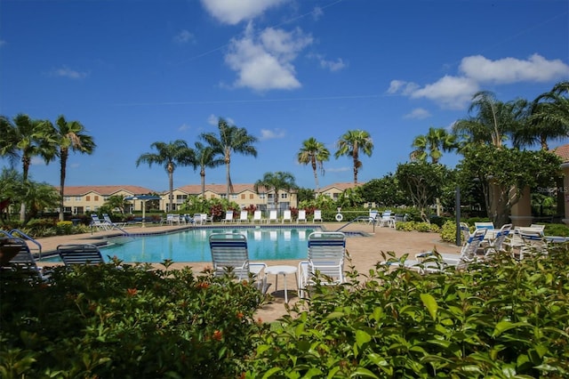 view of swimming pool featuring a patio