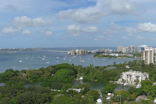 aerial view with a water view