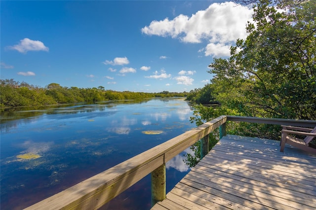 dock area featuring a water view