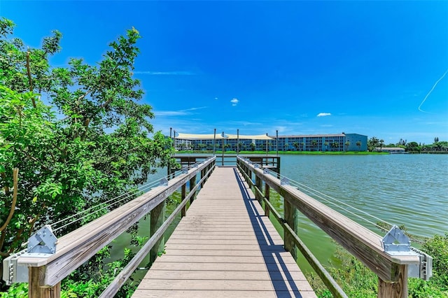 dock area with a water view