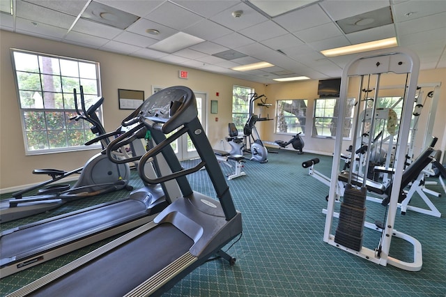 gym featuring carpet flooring, a drop ceiling, and a healthy amount of sunlight