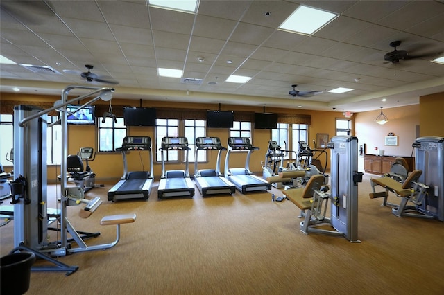 workout area with carpet flooring, a drop ceiling, and ceiling fan